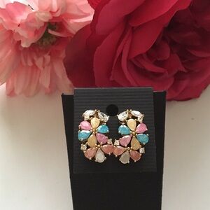 Brand new Gorgeous earrings.